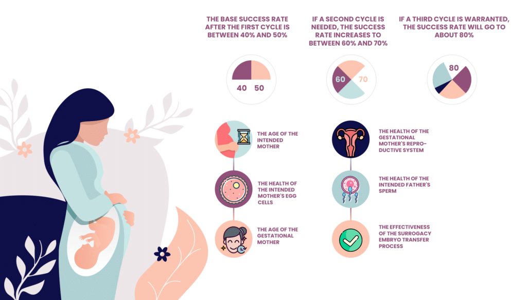 IVF Surrogacy Success Rates