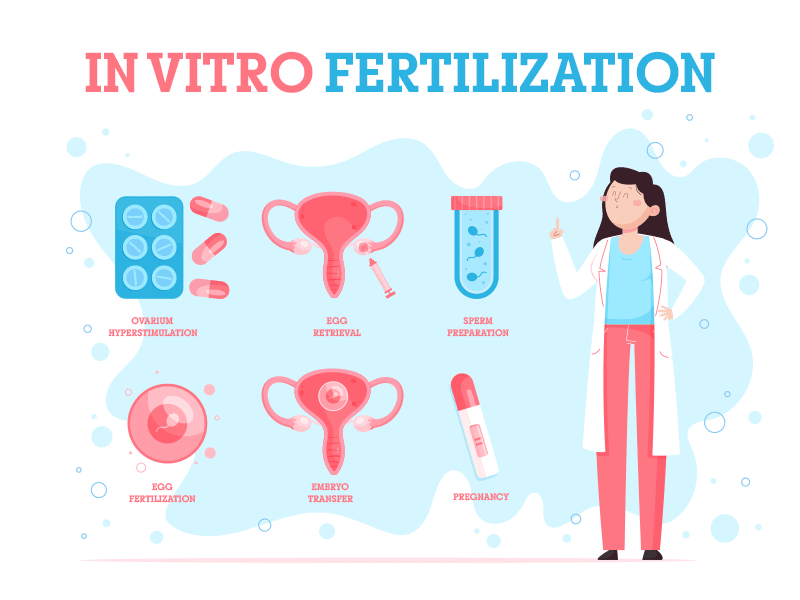 In Vitro Fertilization