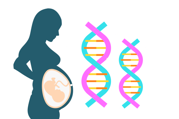 Gestational Surrogacy: Surrogate Mother