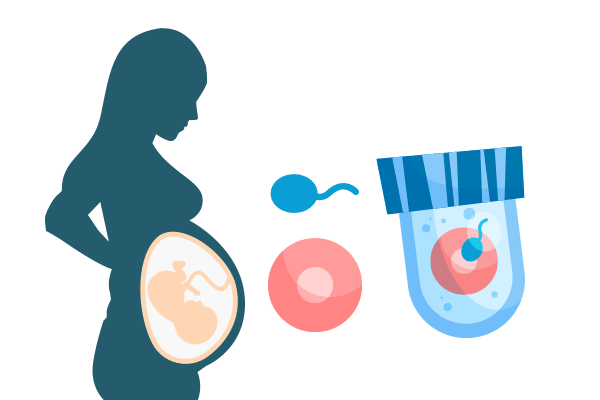 Traditional Surrogacy: Surrogate Mother